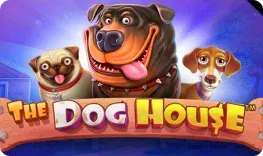 Impressario – The Dog House